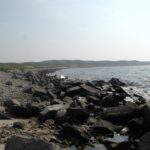 Oil spill cleanup along the UAE northern coastline