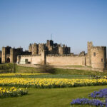 Paapa Essiedu casting news and the Hogwarts castle filming location