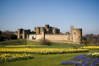 Paapa Essiedu casting news and the Hogwarts castle filming location